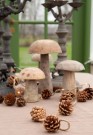 Sopp i tre 10x12,5 thumbnail