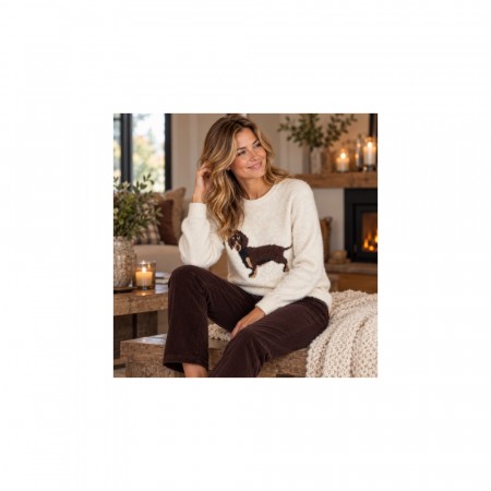 På vei inn : dog knit 